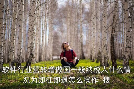 軟件行業(yè)營轉增做國一般納稅人什么情況為即征即退怎么操作  搜