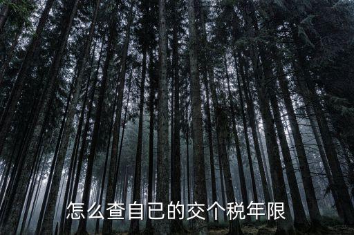 如何查詢納稅期限，怎么查自已的交個稅年限