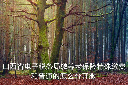 山西養(yǎng)老保險如何和國稅局對接，交養(yǎng)老保險交到國家稅務總局怎么辦