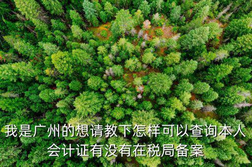 我是廣州的想請教下怎樣可以查詢本人會計(jì)證有沒有在稅局備案