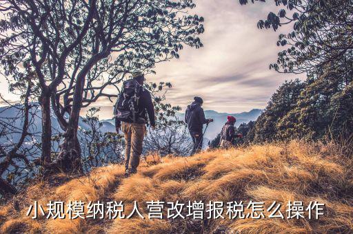 營改增后小規(guī)模企業(yè)如何報稅，營改增以后該如何報稅急