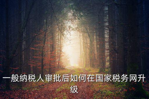 一般納稅人審批后如何在國家稅務(wù)網(wǎng)升級(jí)