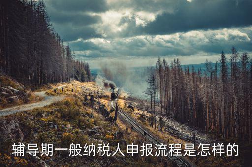 單位培訓如何為授課人報稅，輔導期的報稅具體流程是怎么樣