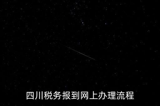 四川企業(yè)地稅如何網(wǎng)上申報系統(tǒng)，稅務申報如何網(wǎng)上申報