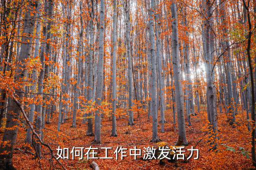 如何激發(fā)稅務(wù)干部的活力，在稅收工作中如何激發(fā)下屬的潛力