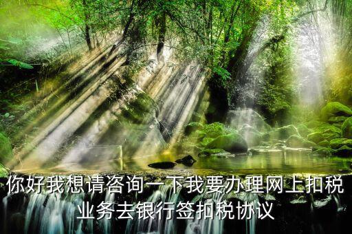 如何辦理稅庫銀，去稅務局辦理稅控盤需要什么資料流程怎么走呢