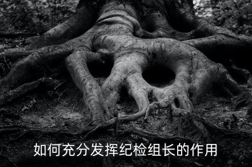 稅務(wù)局如何貫徹落實紀(jì)檢組長的講話，如何充分發(fā)揮紀(jì)檢組長的作用