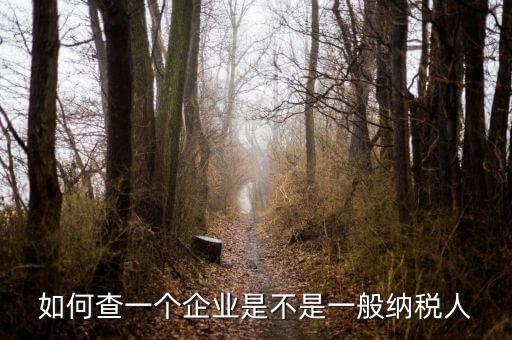 如何查是否一般納稅人，怎么確認(rèn)一家單位是不是一般納稅人