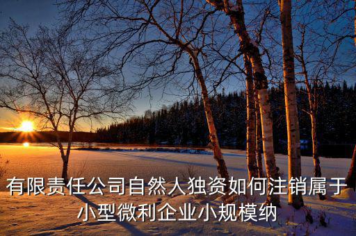 如何注銷小微企業(yè)所得稅，小微企業(yè)工商稅務(wù)注銷手續(xù)