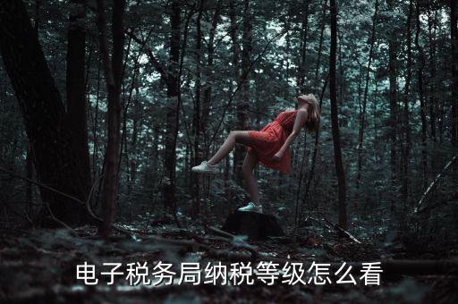 如何查詢納稅人納稅等級(jí)，電子稅務(wù)局納稅等級(jí)怎么看