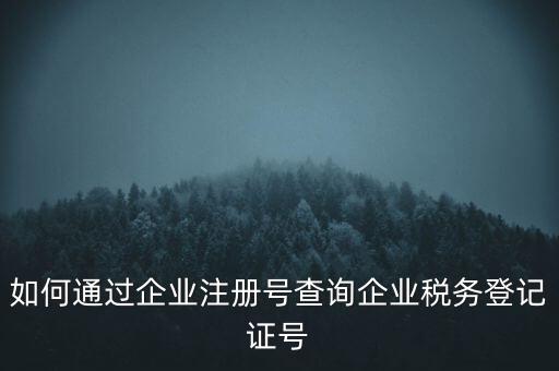 如何查詢公司稅務(wù)編號(hào)查詢系統(tǒng)，公司的稅務(wù)登記證號(hào)怎么查詢