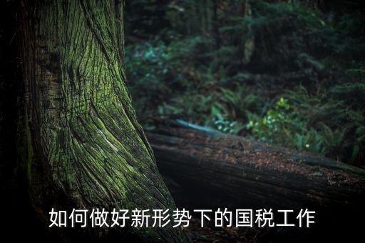 如何貫徹國稅工作會議上的講話，如何貫徹落實國稅系統(tǒng)化政府采購工作規(guī)范