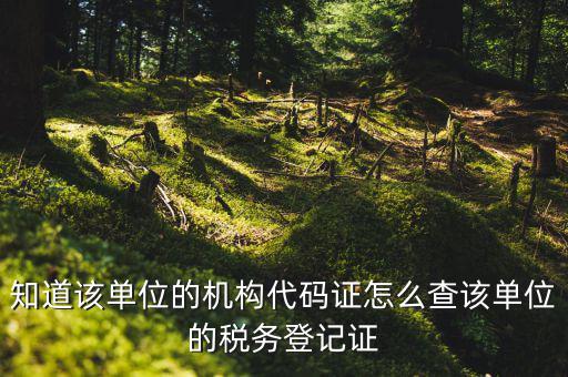 如何查企業(yè)稅務(wù)登記證號(hào)，公司的稅務(wù)登記證號(hào)怎么查詢(xún)
