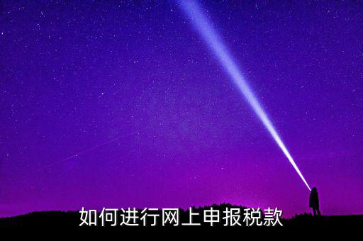 稅務(wù)如何在線申報，如何網(wǎng)上稅務(wù)申報
