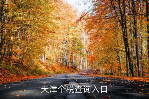 天津個稅如何查詢密碼，天津個稅查詢?nèi)肟?/></a></span><span id=