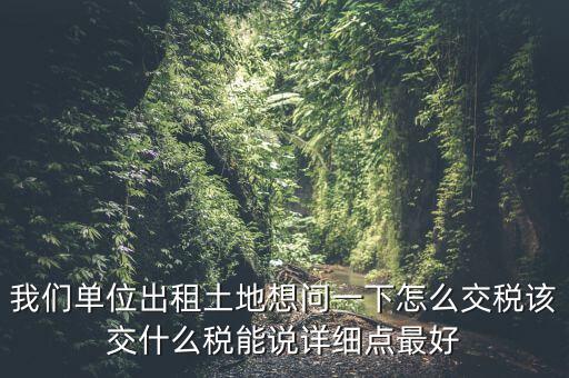 土地出租如何征稅，我們單位出租土地想問一下怎么交稅該交什么稅能說詳細點最好