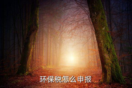 環(huán)境保護(hù)稅b類如何申報(bào)表，環(huán)保稅申報(bào)步驟是什么