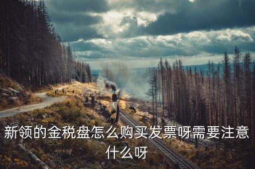 新公司如何購(gòu)買(mǎi)金稅盤(pán)，新領(lǐng)的金稅盤(pán)怎么購(gòu)買(mǎi)發(fā)票呀需要注意什么呀