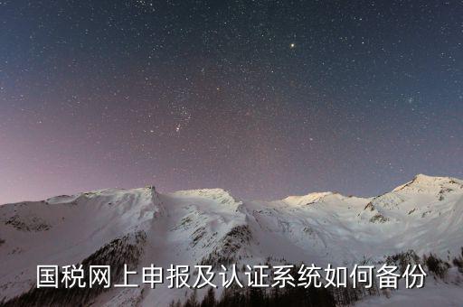 稅友申報(bào)軟件如何備份，國(guó)稅網(wǎng)上申報(bào)及認(rèn)證系統(tǒng)如何備份