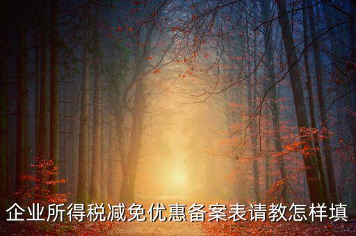 企業(yè)所得優(yōu)惠備案如何，企業(yè)所得稅減免優(yōu)惠備案表請(qǐng)教怎樣填