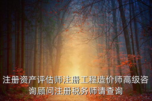 如何查詢稅務(wù)師信息，注冊稅務(wù)師報(bào)名時的信息哪里能查到