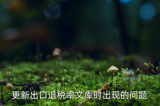 出口退稅文庫如何更新，請問各位出口退稅系統里的代碼庫怎么更新啊怎么老沒反應的呢