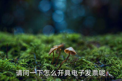 上海如何申領(lǐng)電子發(fā)票，請問一下怎么開具電子發(fā)票呢