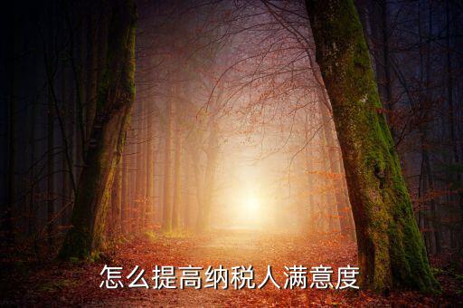 如何提升納稅人獲得感，怎么提高納稅人滿意度