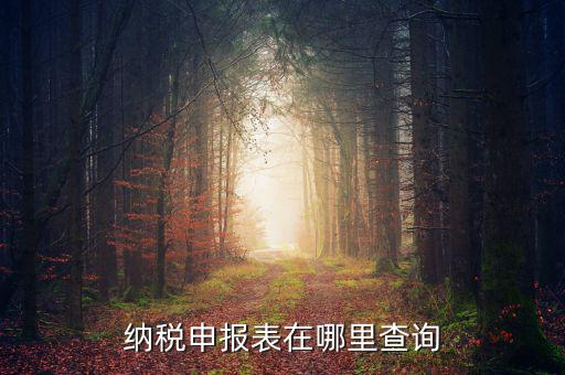 北京地稅如何查詢申報表，電子稅務(wù)局怎樣查詢以往申報表