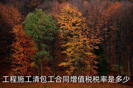 清包工 如何稅務(wù)，一般納稅人去國稅說明是清包工怎么寫說明