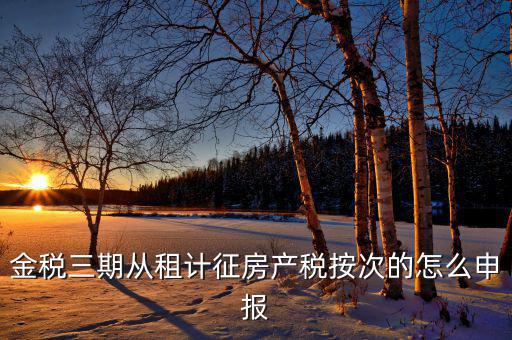 金稅三期如何申報(bào)房產(chǎn)稅，金稅三期 個(gè)稅 生產(chǎn)經(jīng)營(yíng)所得怎么申報(bào)