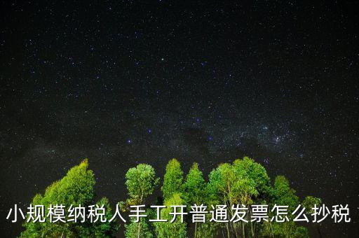 小規(guī)模納稅人開(kāi)票系統(tǒng)如何抄報(bào)稅，小規(guī)模稅款控盤(pán)如何抄報(bào)稅