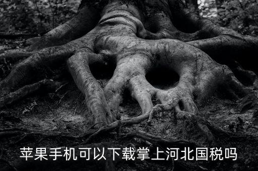 河北掌上國(guó)稅如何注冊(cè)，蘋果手機(jī)可以下載掌上河北國(guó)稅嗎