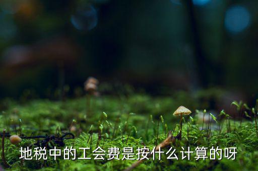 交地稅時的工會經(jīng)費(fèi)如何計(jì)算方法，地稅中的工會費(fèi)是按什么計(jì)算的呀