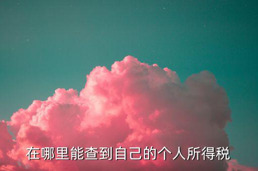 如何 查稅法，查看稅收法