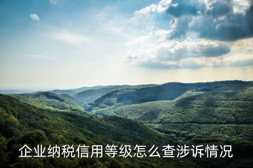 如何查詢(xún)企業(yè)納稅評(píng)級(jí)，如何查詢(xún)企業(yè)50萬(wàn) 還是80萬(wàn)升級(jí)一般納稅人