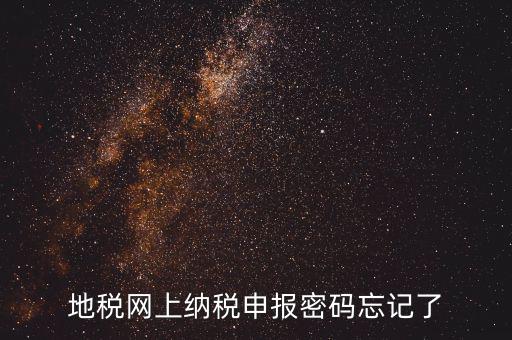 網(wǎng)報(bào)如何復(fù)制密碼，地稅網(wǎng)上納稅申報(bào)密碼忘記了
