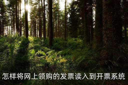 怎樣將網上領購的發(fā)票讀入到開票系統(tǒng)