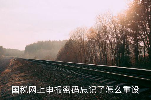 網(wǎng)上稅務(wù)局登錄密碼如何重置，國(guó)稅網(wǎng)上申報(bào)密碼忘記了怎么重設(shè)