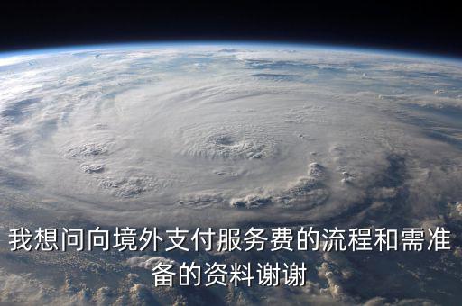 支付境外勞務(wù)費如何備案，我想問向境外支付服務(wù)費的流程和需準(zhǔn)備的資料謝謝