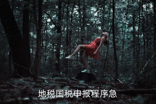國(guó)稅地稅如何辦理流程，我想知道申報(bào)國(guó)稅地稅的流程包括前期需要什么資料期間如何