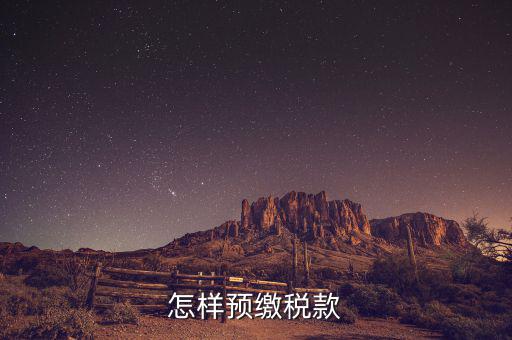 在電子稅務局網(wǎng)上如何預繳稅款，具體網(wǎng)上繳納稅款流程