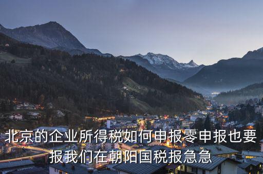 北京市各種稅如何申報(bào)，城建稅和教育費(fèi)附加是該在地稅交網(wǎng)上怎樣申報(bào)