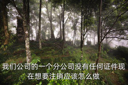 外管證不見了如何注銷，注銷外管證沒帶公司章可以嗎