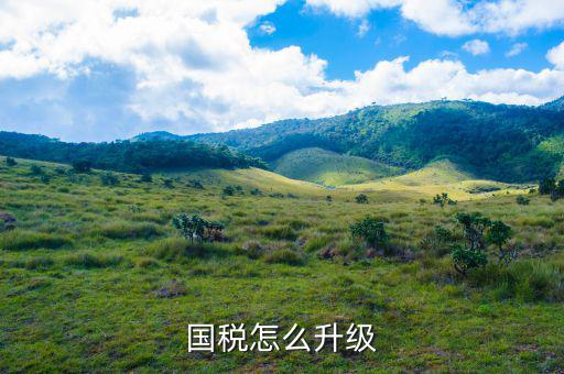 國稅系統(tǒng)如何適應新時代，如何做好新形勢下的國稅工作