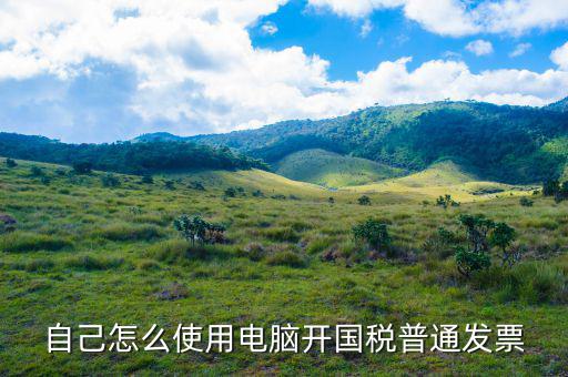 在國稅如何申請電子發(fā)票，怎麼申辦開具電子發(fā)票