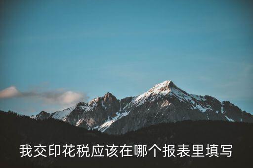 網(wǎng)上印花稅表如何填寫，印花稅申報報表要怎么填啊