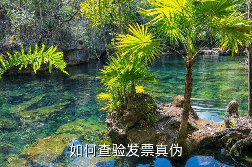 如何查詢專用發(fā)票真?zhèn)尾樵?，如何查?yàn)發(fā)票真?zhèn)?/></a></span><span id=