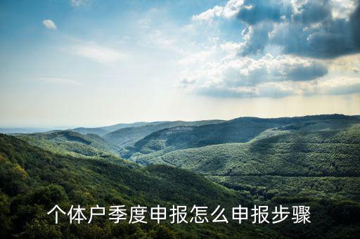 個(gè)體戶如何季度申報(bào)表，個(gè)體戶每個(gè)季度怎樣報(bào)稅