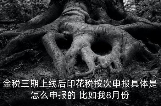 金稅三期如何填報印花稅表，印花稅申報報表要怎么填啊